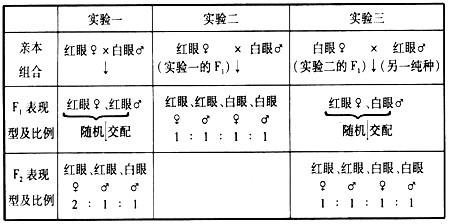 果蠅與科學(xué)丨為遺傳學(xué)做出巨大貢獻(xiàn)的果蠅，如此優(yōu)秀怎么消滅