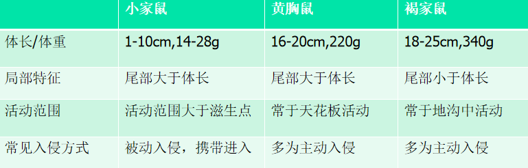 自述｜餐飲行業(yè)鼠類如何防治