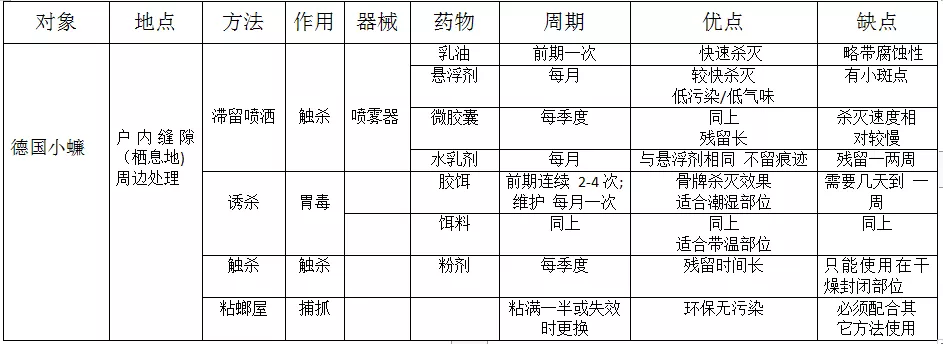 另人聞風(fēng)喪膽的德國小蠊，如何科學(xué)地消滅它